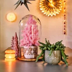 Crassula In Hangpot (Crassula Marnieriana 'Hottentot') D 14 H 30 Cm 7 Crassula In Hangpot (Crassula Marnieriana 'Hottentot') D 14 H 30 Cm -Groene Bloom Winkel 8717263115069 2 2