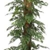 Gatenplant Met Mosstok (Monstera 'Monkey Mask') D 27 H 150 Cm 1 Gatenplant Met Mosstok (Monstera 'Monkey Mask') D 27 H 150 Cm -Groene Bloom Winkel 8717263252689