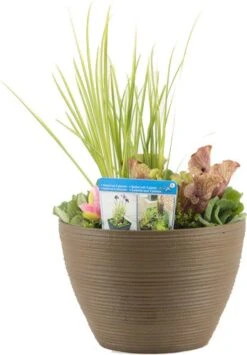 Terrasvijver Met Waterplanten Roest D 40 H 35 Cm