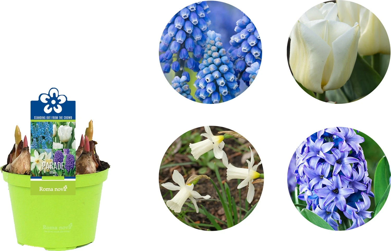 Bollen Mix (Parade Blauw) D 12 H 12 Cm 4 Bollen Mix (Parade Blauw) D 12 H 12 Cm - Afbeelding 2