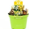 Bollen Mix (Parade Geel) D 12 H 12 Cm 1 Bollen Mix (Parade Geel) D 12 H 12 Cm -Groene Bloom Winkel 8718924506264