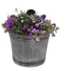 Intratuin Arrangement Zomerbloeiers In Zink D 29 H 25 Cm -Groene Bloom Winkel 8720196612246
