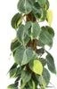 Philodendron Op Mosstok (Philodendron Scandens 'Brasil') D 27 H 150 Cm -Groene Bloom Winkel 8720196658497 1