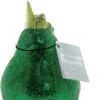 Amaryllis In Wax (Hippeastrum Waxz 'Eco Glitterz Green') H 15 Cm 1 Amaryllis In Wax (Hippeastrum Waxz 'Eco Glitterz Green') H 15 Cm -Groene Bloom Winkel 8720196782024 1