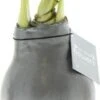 Amaryllis In Wax (Hippeastrum Waxz 'Metallic Silver') H 15 Cm 2 Amaryllis In Wax (Hippeastrum Waxz 'Metallic Silver') H 15 Cm -Groene Bloom Winkel 8720196784981 1