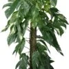 Drakenklimop Op Duurzame Klimstok (Epipremnum Pinnatum 'Albo Variegata') D 24 H 125 Cm -Groene Bloom Winkel 8720196798247