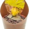 Levende Stenen (Lithops) D 6,5 H 8 Cm 2 Levende Stenen (Lithops) D 6,5 H 8 Cm -Groene Bloom Winkel 8720196800957