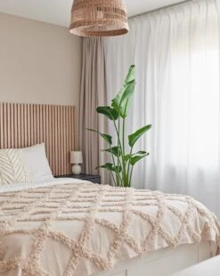 Beautanic Lifestyle Paradijsvogelplant (Strelitzia Nicolai) D 30 H 160 Cm 10 Beautanic Lifestyle Paradijsvogelplant (Strelitzia Nicolai) D 30 H 160 Cm -Groene Bloom Winkel 8720938550119 35