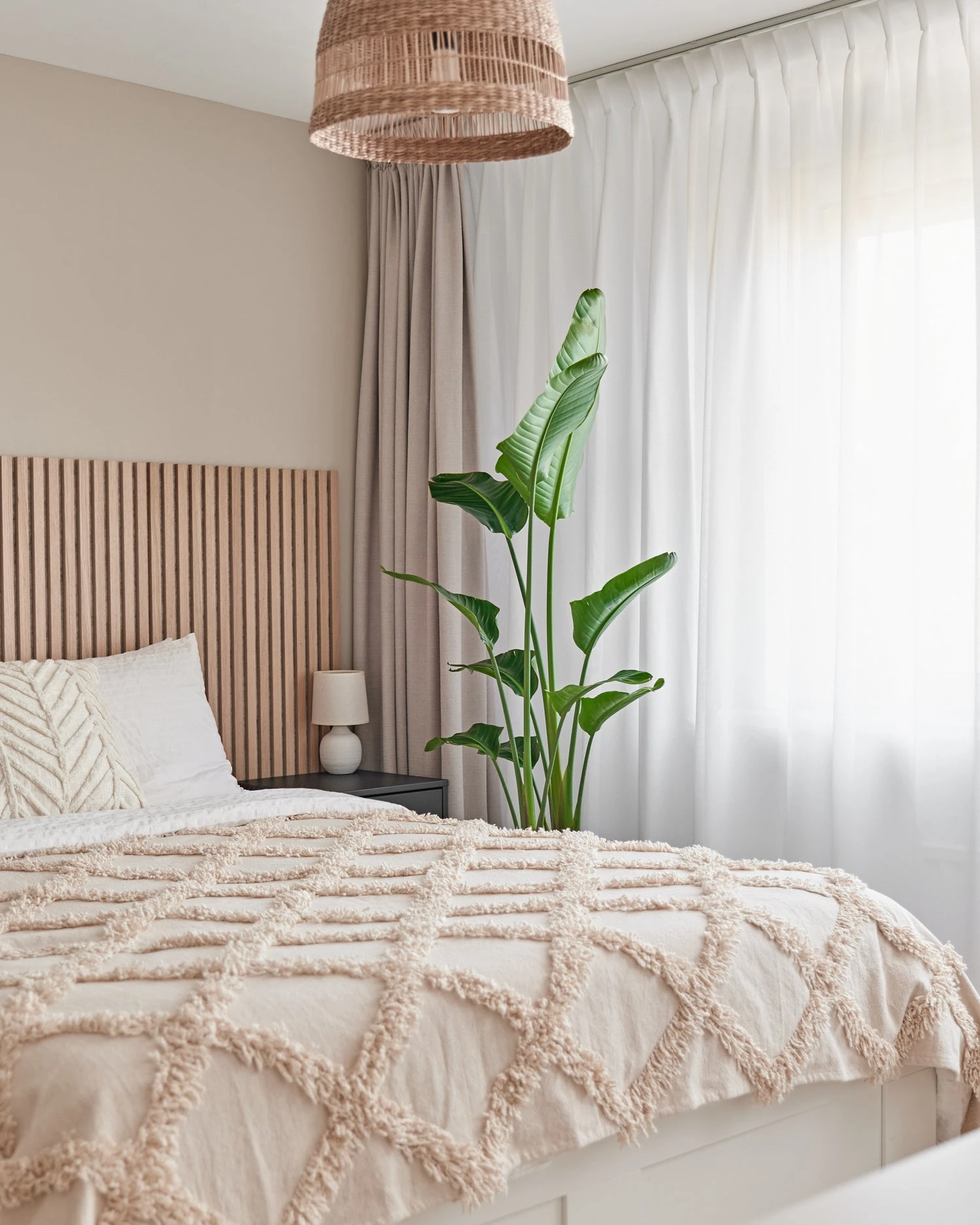 Beautanic Lifestyle Paradijsvogelplant (Strelitzia Nicolai) D 30 H 160 Cm 5 Beautanic Lifestyle Paradijsvogelplant (Strelitzia Nicolai) D 30 H 160 Cm - Afbeelding 3